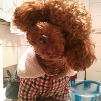 Ѱ����ʾ��������л��