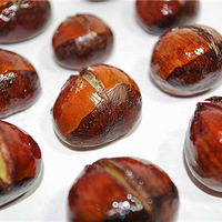 �����Ķ�����Ǹ�ĳ��һ����Ű���������һ��С��Ӱ~