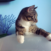 ������Ҫ�׵��裡