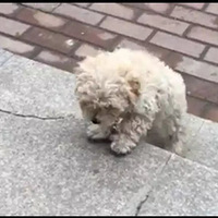 �Ӵ��ҵ�����û����