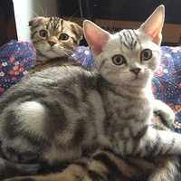 ���������ˣ�һ�����ƺ���ʵ���Ļ�����һ��