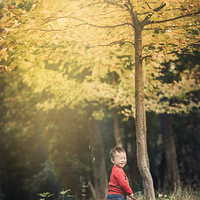 ���������!�������Ƭ[����]