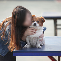 ��Ҫ����һֻ�����Ĺ��У�����һֻ���У�һֻ�������ܵĹ���