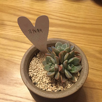 ����ӵ�����