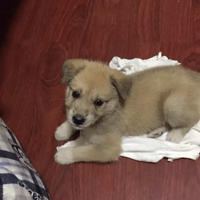 �������ܶ����������Ҳ����ף�����Ϊʲô��