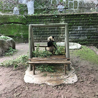 �в�ס������Źز�ס���ޣ�������ת�������ֳ���