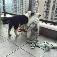 �������Ҹ�Ů����