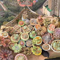 ��Щ�꣬�������⣡����