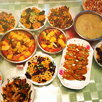 ���Ƕ����� �Ҿ�ֻ�ܳ�+��2016����ʳ�ܽ᡿