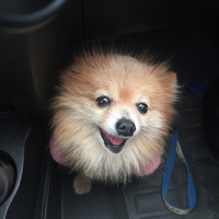 ���Ź��������������빫԰������