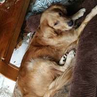 ��ֻëС������1+1=2��ô�򵥡���