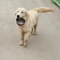 �������Լ�Ҳ���ǡ�ë���ӡ�