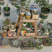 ���Ķ���ů��ɹ�����