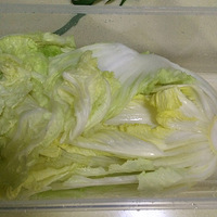 ���������ײ�