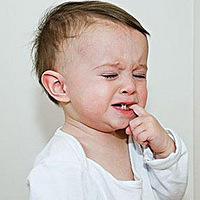 ���������ԡ������������յ����ܣ�