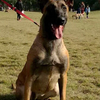 ����Ҳ�Ǻ��ʿ�