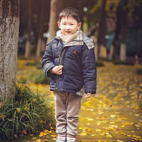 ���죬������أ�ʰһƬ��Ҷ������һ�λ��䡣