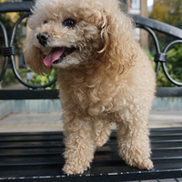 ������Ǽҵ�ͯ�ռ�����