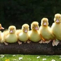 ���ҳ�����վ���������������ʵ�飬���ض�ͯ������