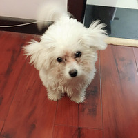 �Һ��Ҽ�Ŵ���ŵ��ճ�