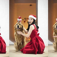 ů��ʥ����лл���ˣ��ҵ�С����