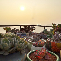 һ���˸���һ����ִ�ŵ���Ȥ��