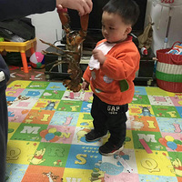 ���ƺ��ʴ��