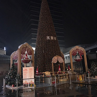 ƽ��ҹʥ����