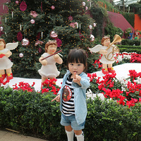 �¼��������Σ�ʥ��������ôŨ��