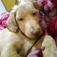 ��Բ4���ġ�����Ҳû���һ����������鲻