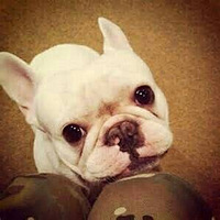 ���⣬�������������