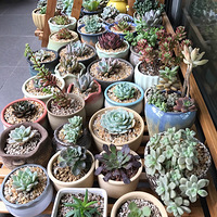 ȫ�����ҵı���