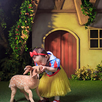 ��ʿ��������