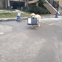 ��ȡ�����