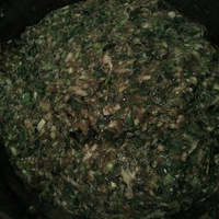Ϣİ죬ȫˣġ