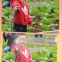 �й�ʽȤζũׯ+����ĩ������ȥ����