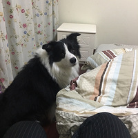 ��ů���㣬������