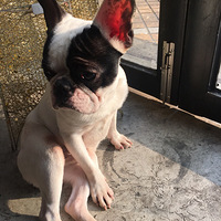 Ѱ�ұ���-����������