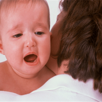 �´��ѽھ�Ҫ���ˣ���Щ��������������Ŷ