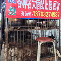 �����Ĺ��ǣ�˭�ܾ����ǣ�