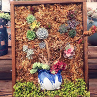 ���⻭������������淨