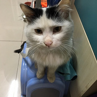 �������湺��