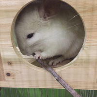 ��è��һ��ɹ����