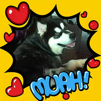 Ѱ�Ұ�Ȯ��«�ޣ�����˹�ӵܵܣ�