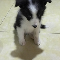 �Ҽ����䳤��ing