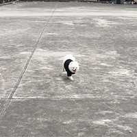 ïҵ¥����Ѿ��