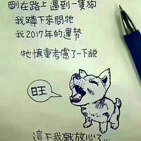 �����ɳ���