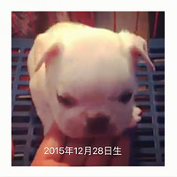 ������С�׳ɳ�ƪ��������Ц��ƵͼƬ��