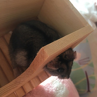 ���ȵĲ���ס�ˣ�