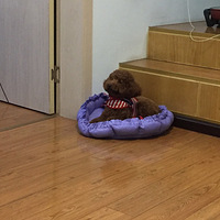 ��Ѱ����ʾ��������